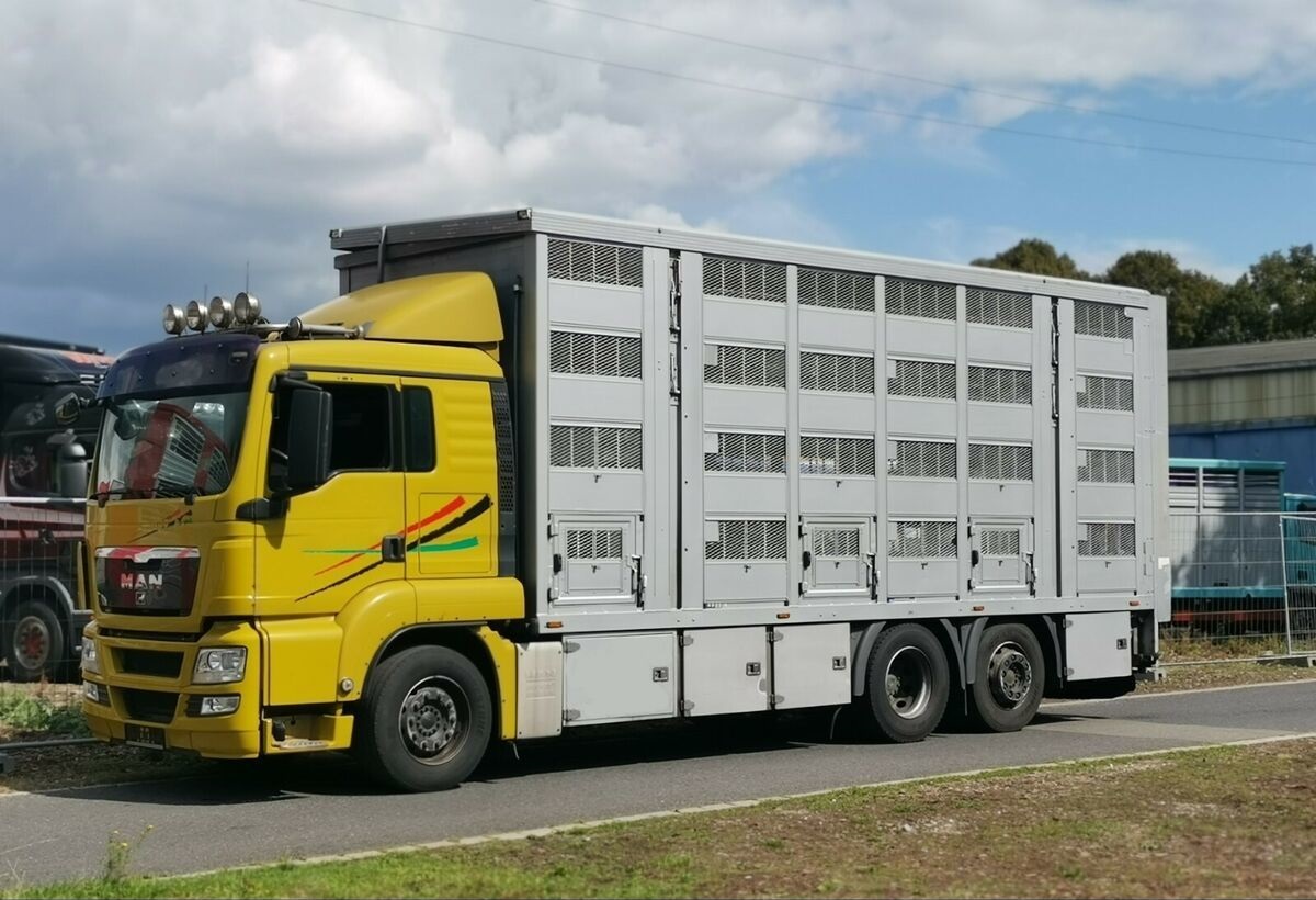 Un curso online del Servicio Regional de Empleo y Formación difunde buenas prácticas en el transporte de ganado