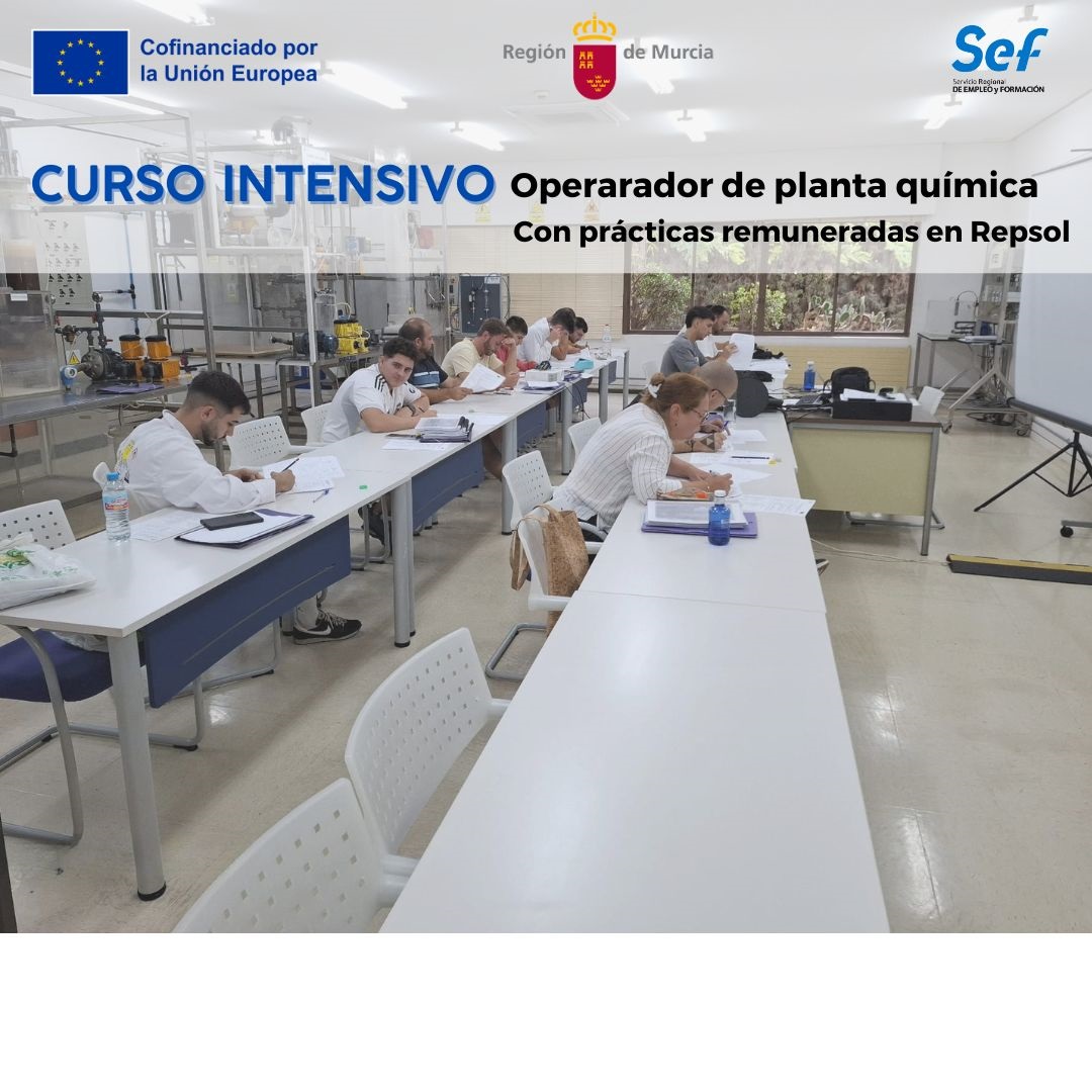 Curso operador planta química SEF.