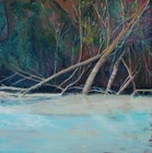 Exposición 'Paisaje UM versus Cañaverosa y Cañón de Almadenes' (3)