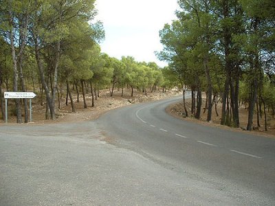 CRP-13-174