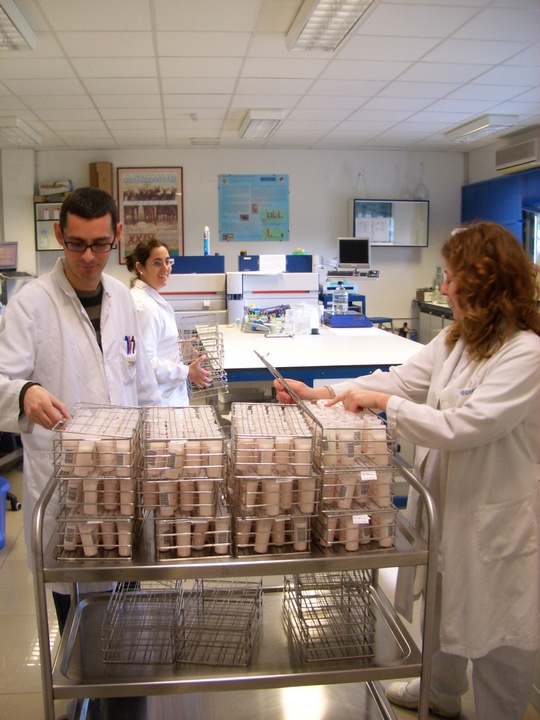 Proyecto de investigación sobre la producción láctea del ganado caprino