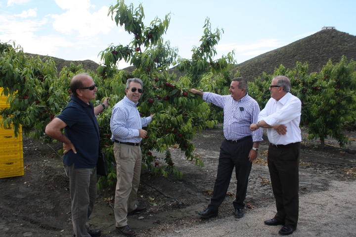Visita al Grupo Agrícola Paloma en Águilas