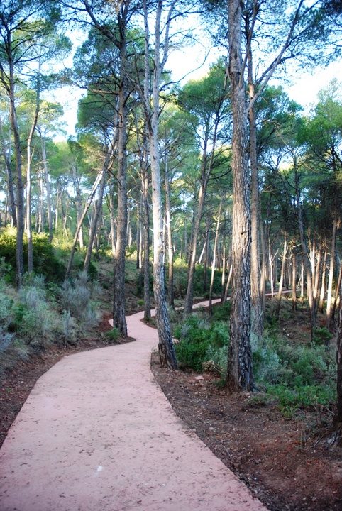 Sendero Ricardo Codorníu, en el Parque Regional de Sierra Espuña