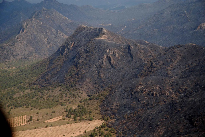El incendio de Moratalla afecta a 1.370 hectáreas de superficie forestal y agrícola