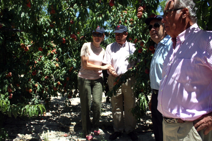 Cerdá visita la empresa 'La Ciezana-Venta del Olivo' 2