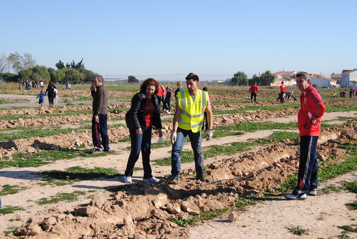 Plantación de pinos en la zona del antiguo Rádar en Torre Pacheco