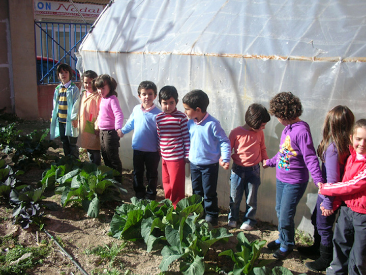 El CEIP Virgen de las Maravillas dispone de un Huerto Escolar para trabajar con los alumnos, y que podría convertir en ecológico durante este curso, gracias al programa que ha presentado hoy la Consejería de Educación.