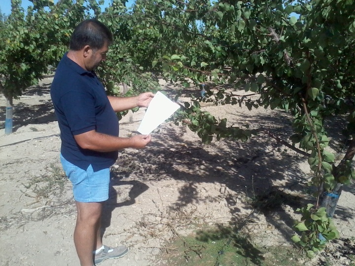 Asesoramiento a agricultores de Mazarrón